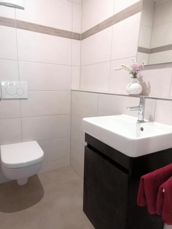 Koupelna v ubytování Hölbinger Alm - Apartments