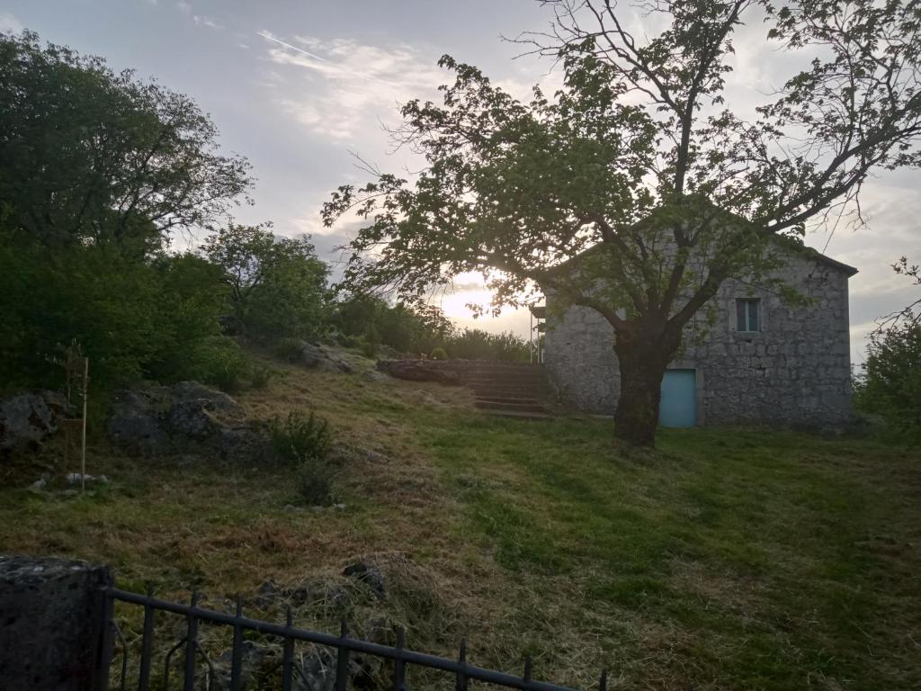 een oud stenen huis op een heuvel met een boom bij Country stone house Kovacevic in Danilovgrad