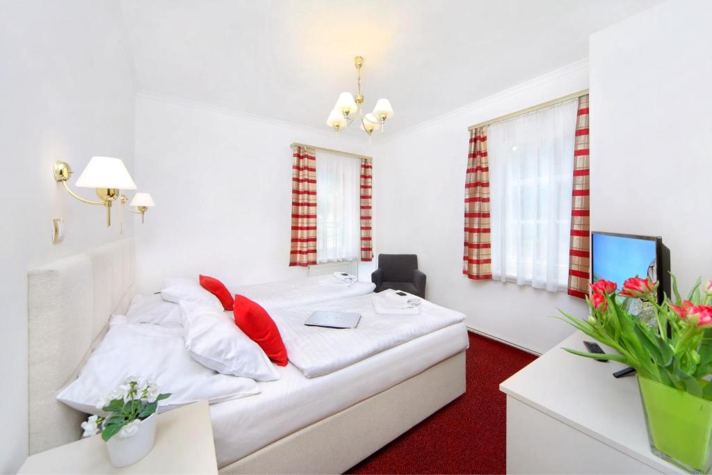 TV a/nebo společenská místnost v ubytování Hotel Hradec