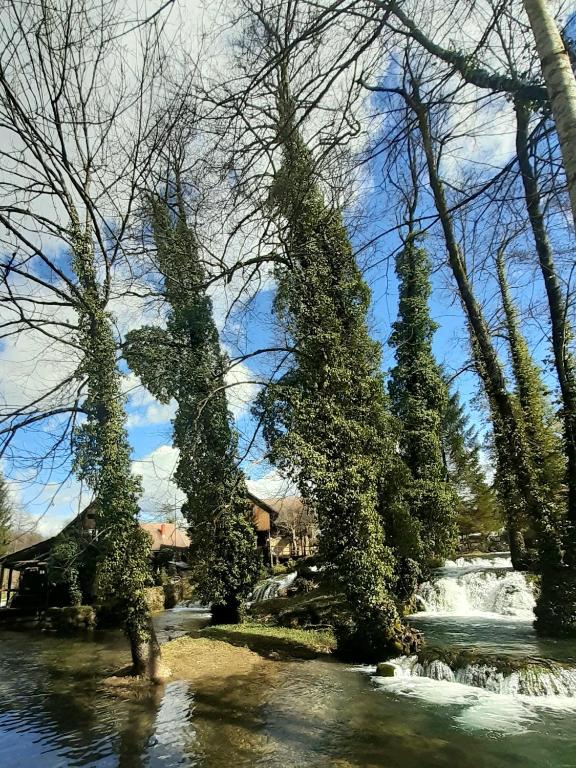 Guesthouse Pod rastockim krovom - 15