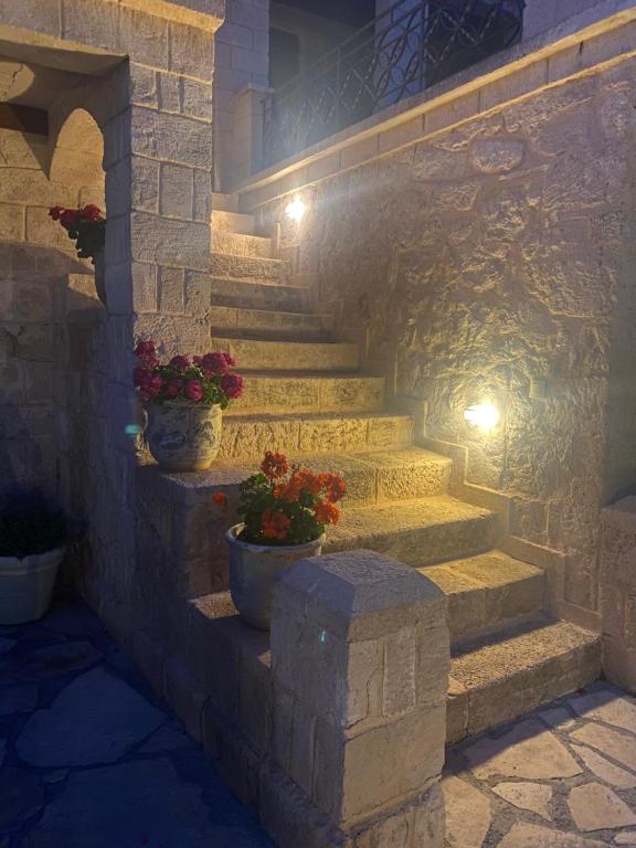 Fotografie z fotogalerie ubytování Pistachio Guesthouse, Παραδοσιακός ξενώνας v destinaci Vathí