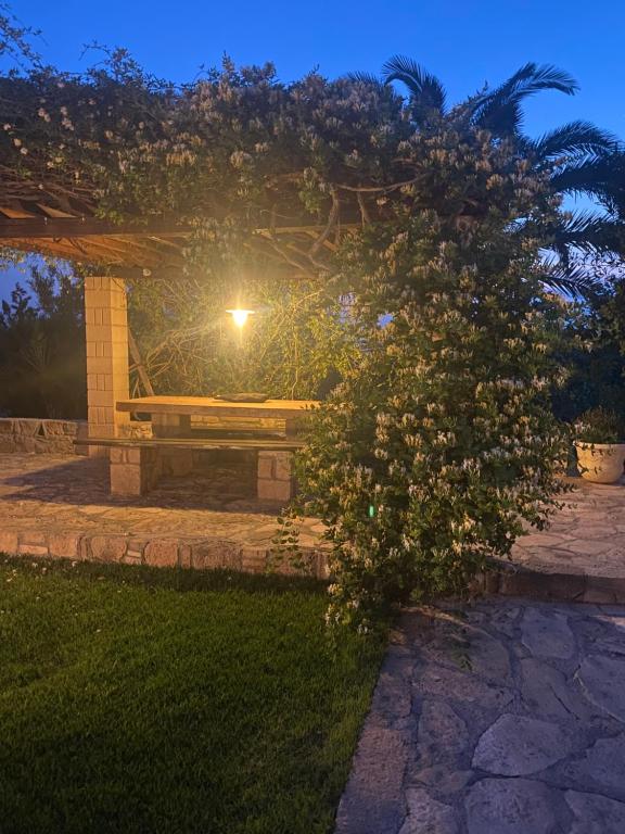 Zahrada ubytování Pistachio Guesthouse, Παραδοσιακός ξενώνας