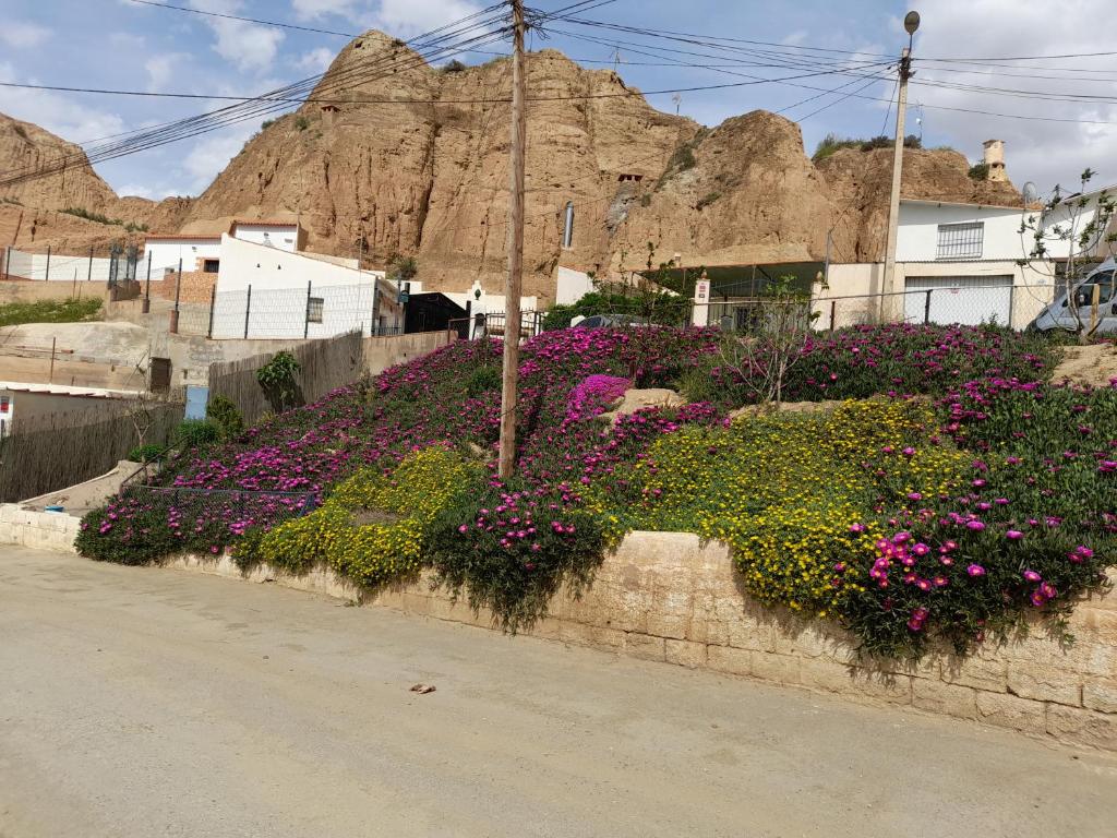 Casa cueva El Algarrobo, Guadix – Bijgewerkte prijzen 2022