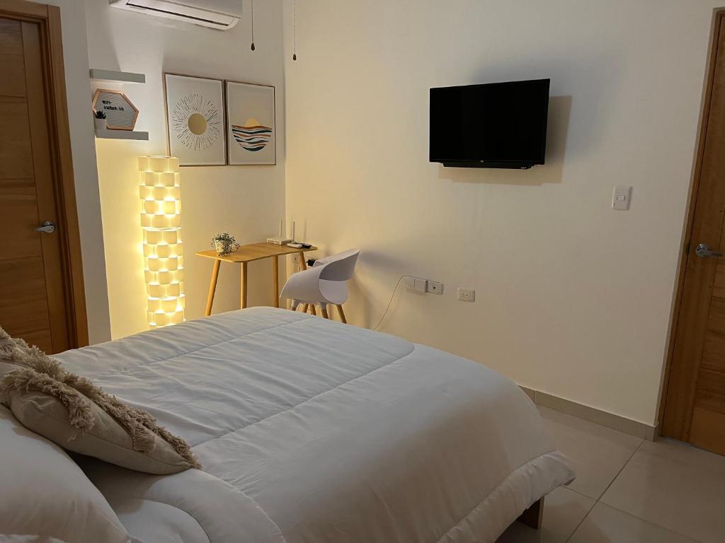 a bedroom with a bed and a television on the wall at Ambar 5D - Céntrico apart estilo Boho Chic in Santo Domingo