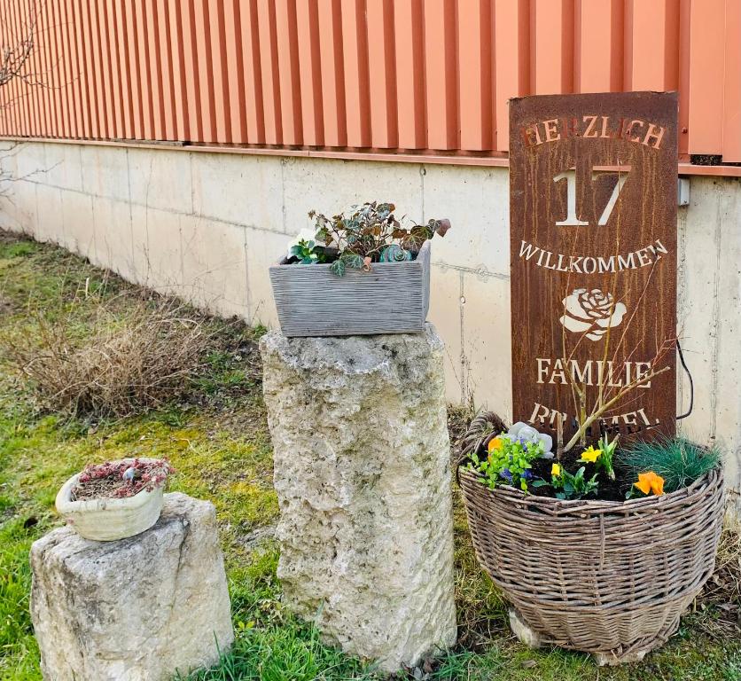 Zahrada ubytování Irenes Tinyhouse