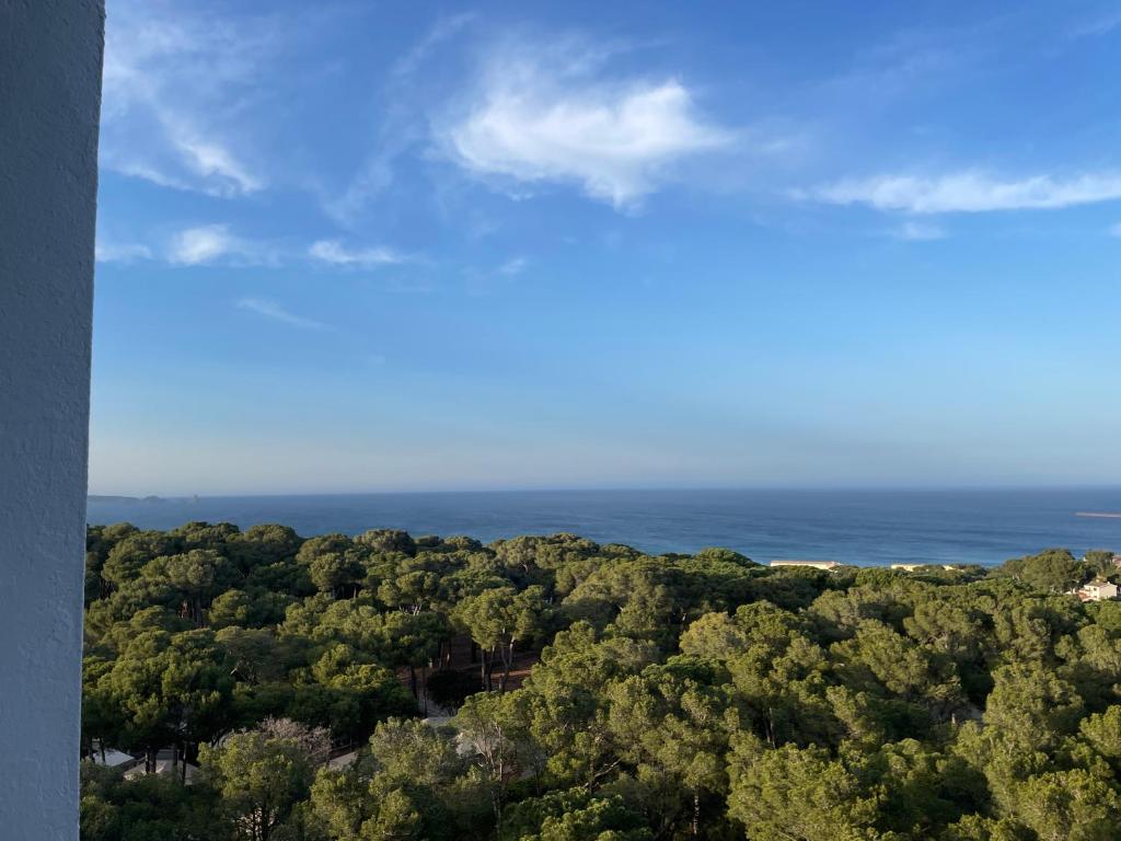 una vista aérea del océano y los árboles en Apartamento en Playa de Pals con encanto y vistas, en Pals