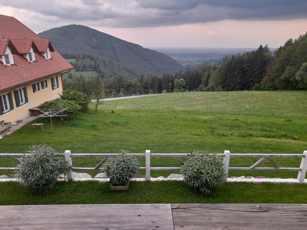 Příroda nedaleko apartmánu