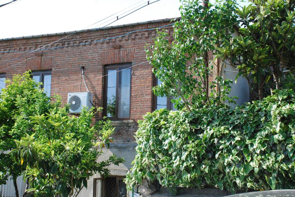 Zahrada ubytování Daduna's House