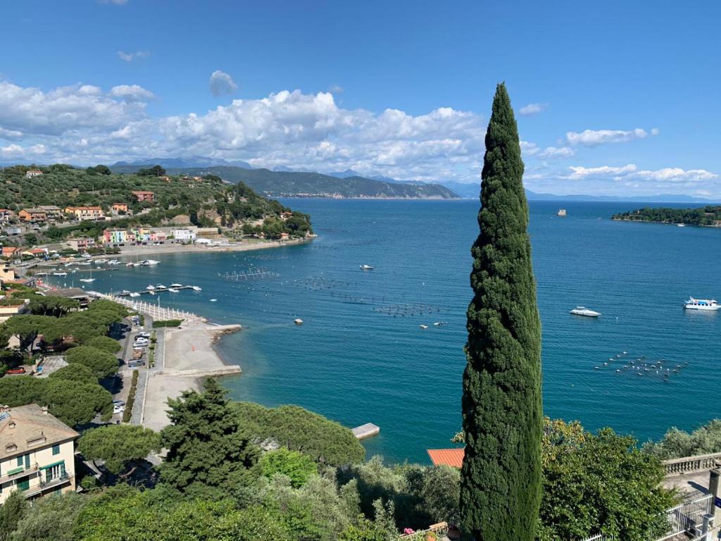 un árbol delante de un cuerpo de agua en La terrazza sul Golfo, en Portovenere