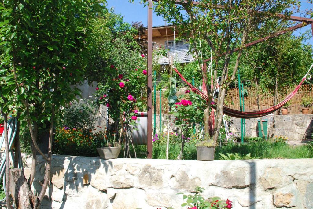 Zahrada ubytování Daduna's House