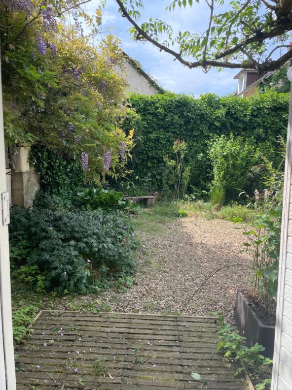 Κήπος έξω από το Studio chez l’habitant
