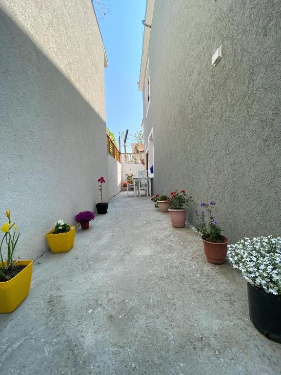 Fotografie z fotogalerie ubytování Sunny guest house v destinaci Vlorë