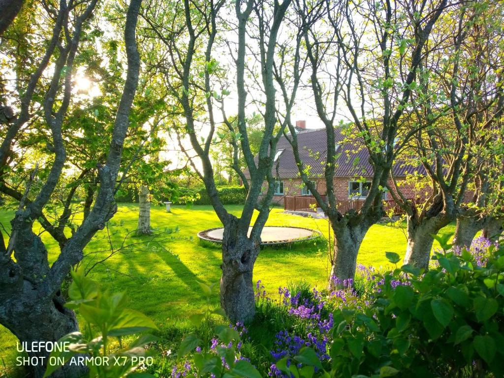 a garden with trees and flowers in front of a house at Lilleledgaard in Ringkøbing