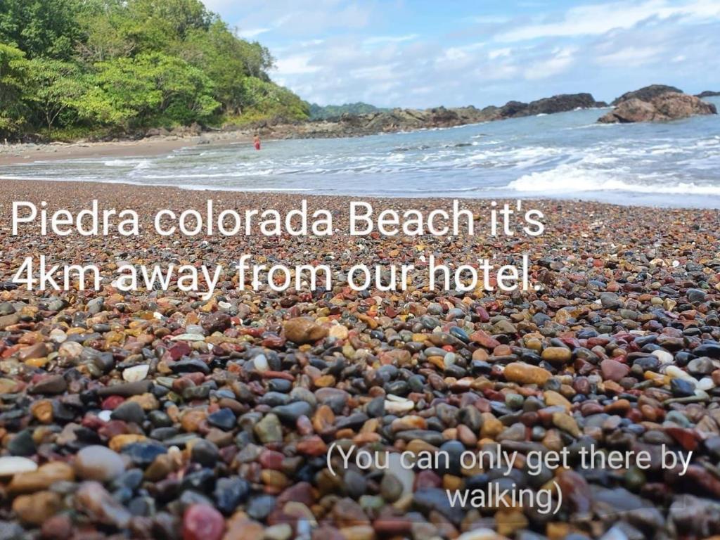 Příroda nedaleko hotelu