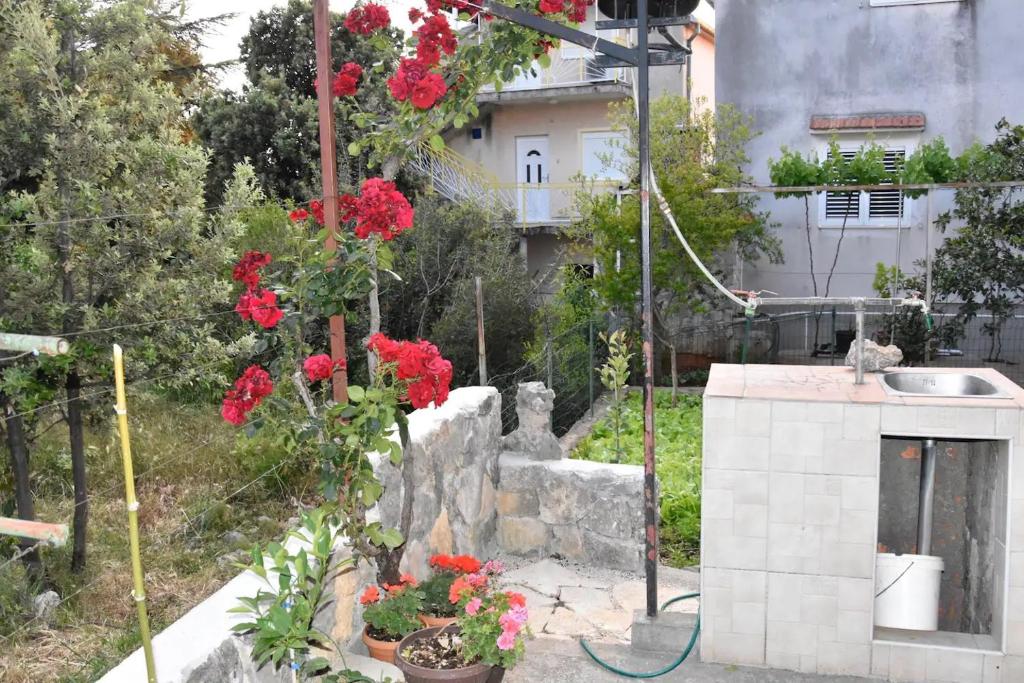 Zahrada ubytování Olive apartments 2