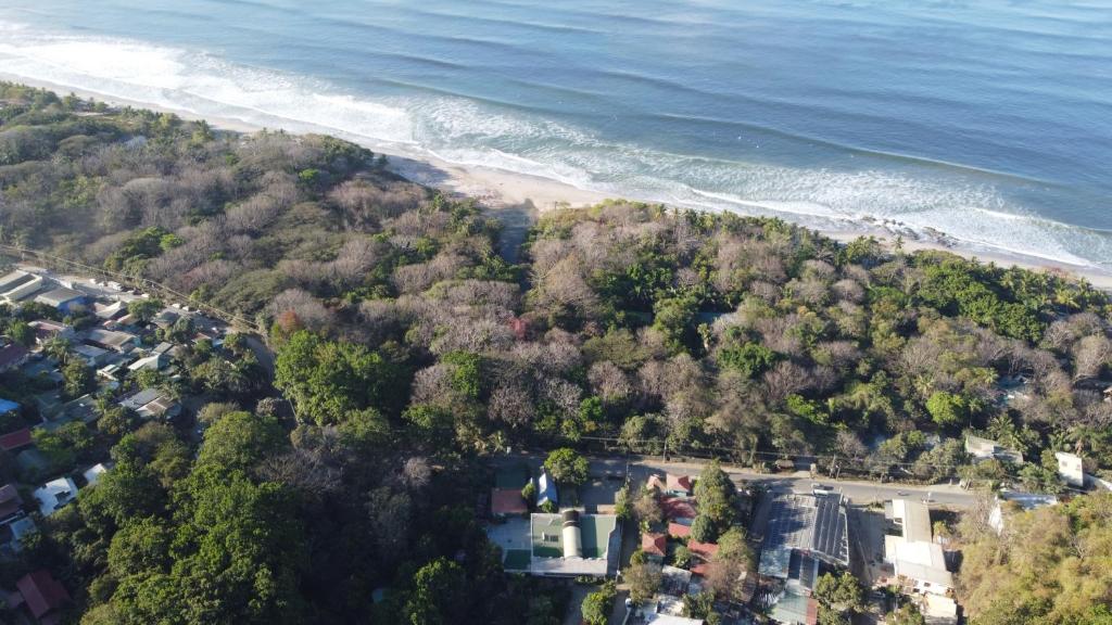 an aerial view of a beach with trees and houses at Trebolmar Apartments for remote work in Santa Teresa Beach