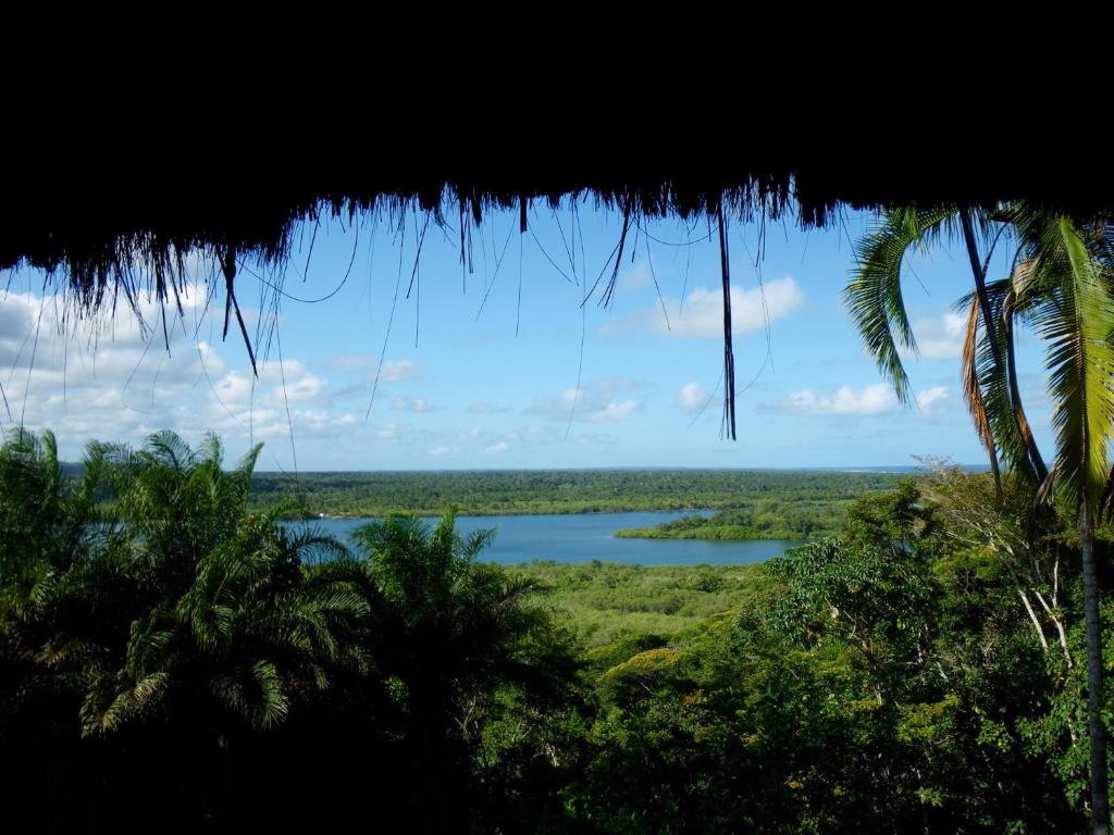  Eco Rainforest House