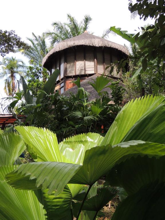  Eco Rainforest House