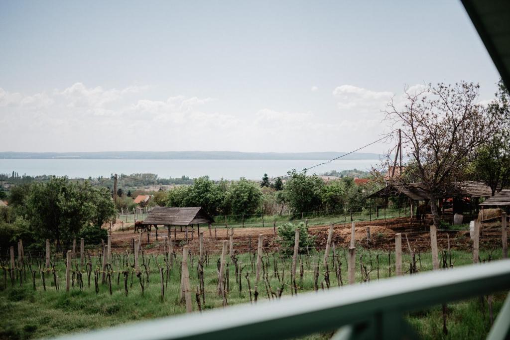 Táj a villa közelében