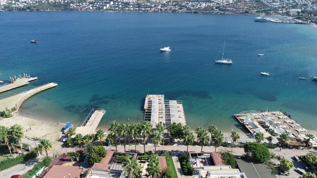 an aerial view of a beach with boats in the water at Olira Boutique Hotel&SPA in Gundogan