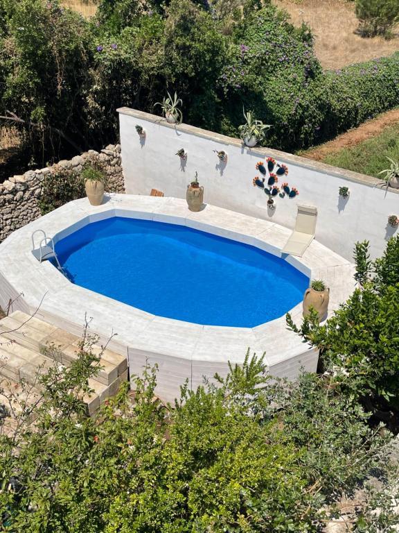 a large swimming pool in a backyard at Palazzo Sabella Tommasi in Calimera