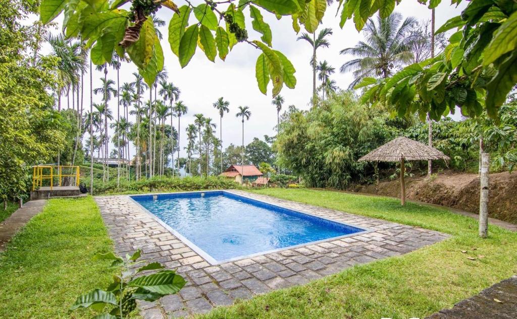 a swimming pool in the middle of a yard at Marmalade Springs Resort Wayanad in Kalpetta