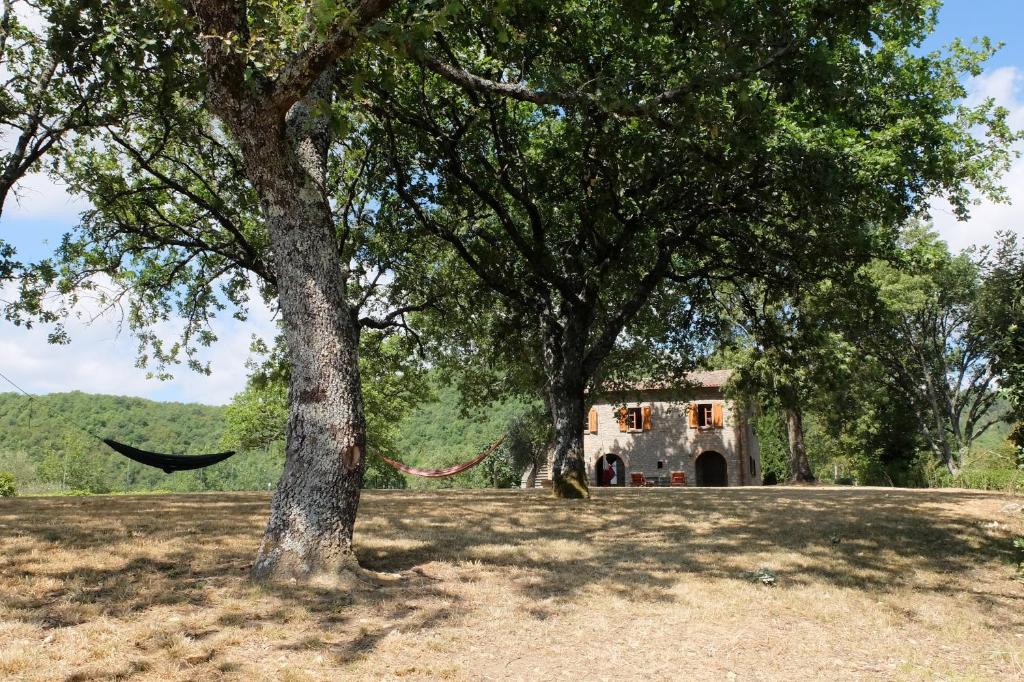 Příroda nedaleko bed and breakfast