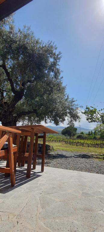 two wooden picnic tables sitting next to a tree at La finestra sul vigneto in Castiglione di Sicilia