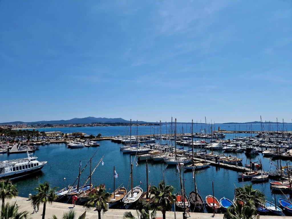 Ein Haufen Boote, die in einem Hafen angedockt sind. in der Unterkunft Sanaritz in Sanary-sur-Mer