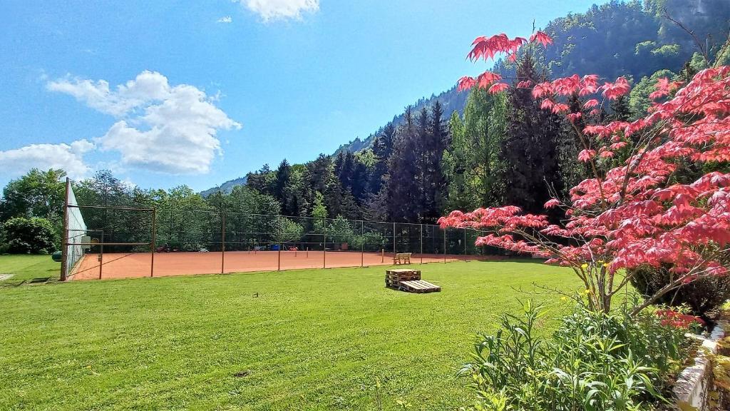 A garden outside LB4 Seeblick Appartement Haus Landskron mit direktem Seezugang am Ossiachersee
