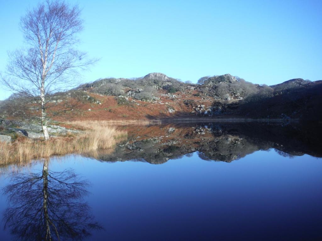 a lake with trees and a mountain range at Dinas in Llanbedr
