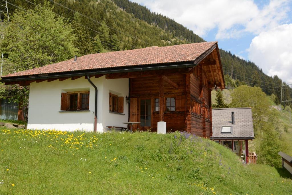 a small wooden house on a hill in a field at Vesmira in Sedrun