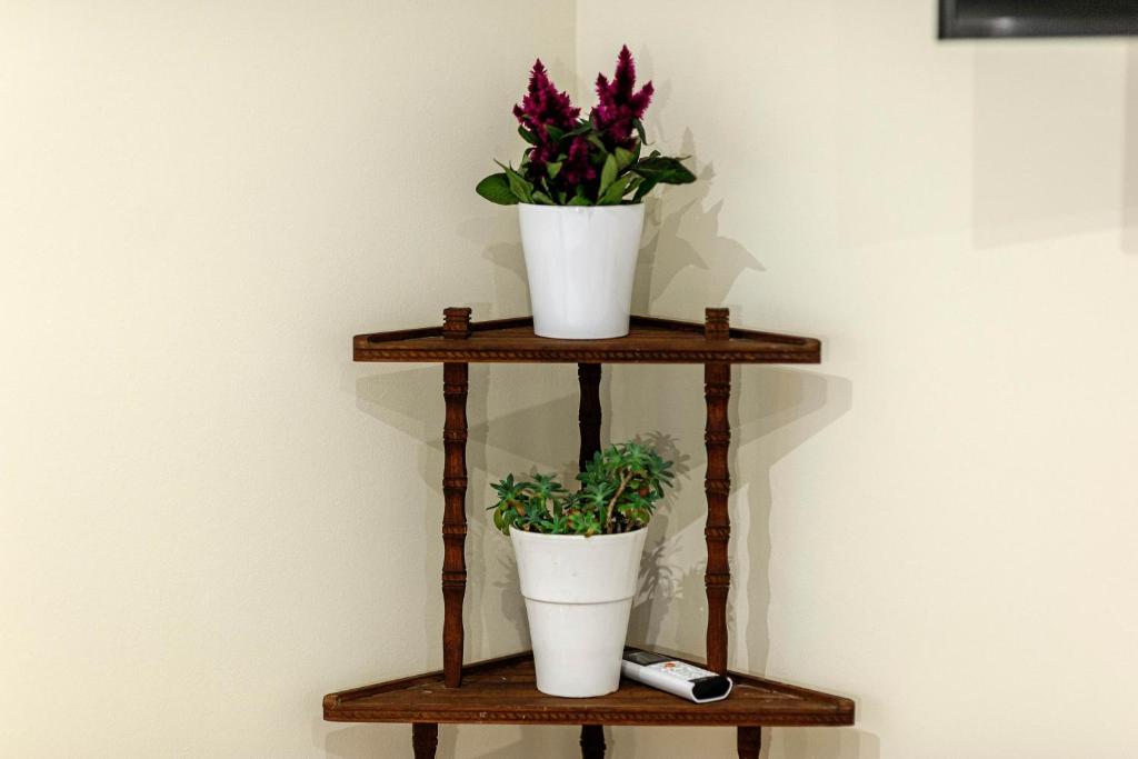 Wine Garden Rooms - 5