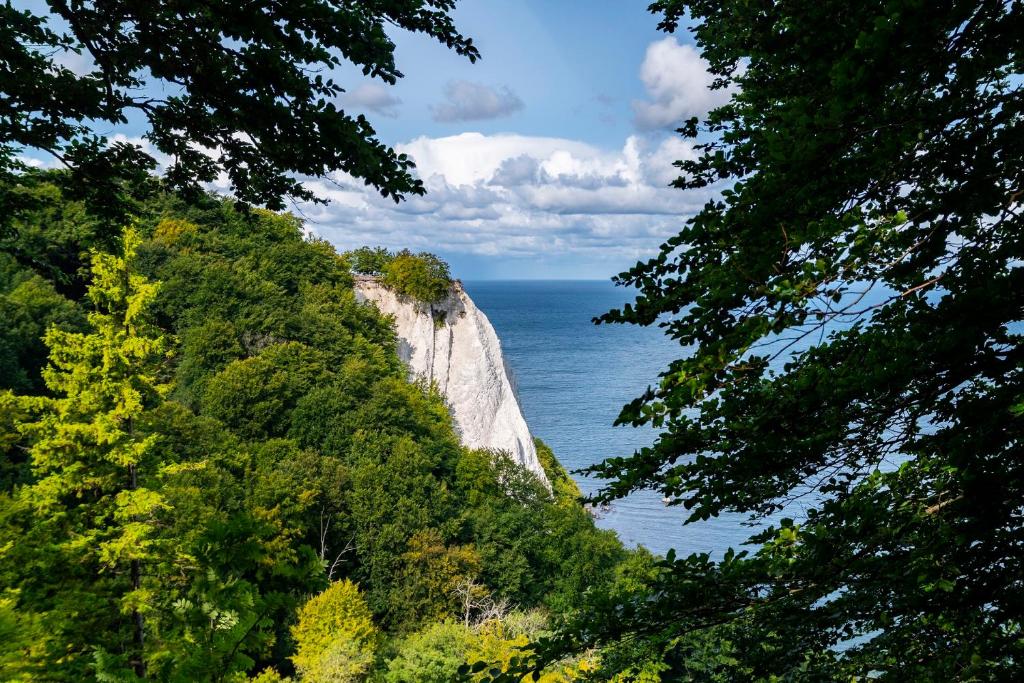 a view of the ocean from a mountain with trees at Ferienhaus - Mittendrin in Lancken-Granitz