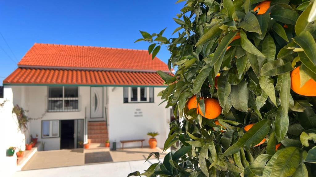 Un árbol con naranjas delante de una casa. en Casa do Avô Patrício - Amazing Country House, en Pampilhal
