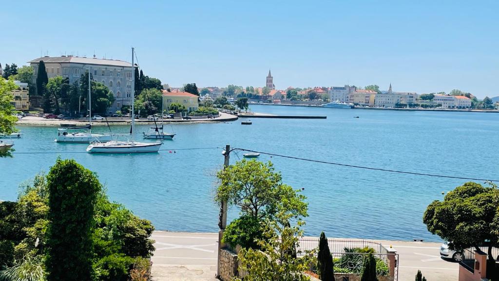 Nuotrauka iš apgyvendinimo įstaigos Villa Maestral Zadar Zadare galerijos