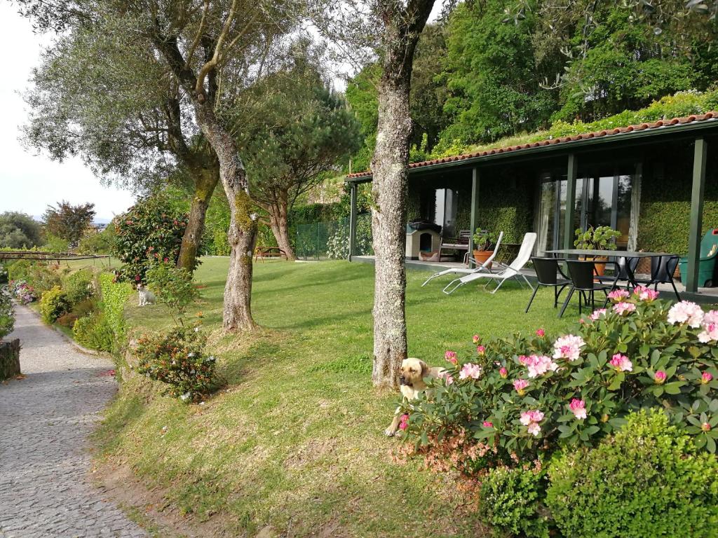 Casas da Tapada Briteiros Casa dos Ficos - 一居室小木屋