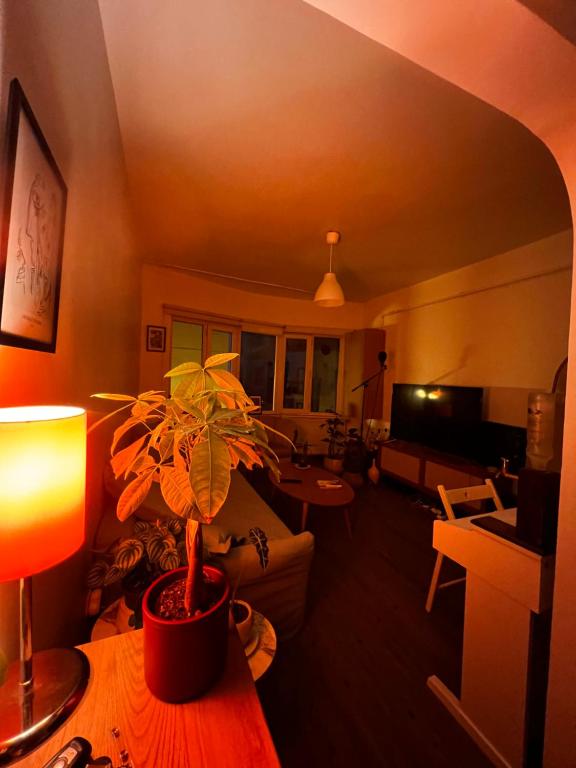 Taksim Cihangir rent apartment for long term, Istanbul, Turkey