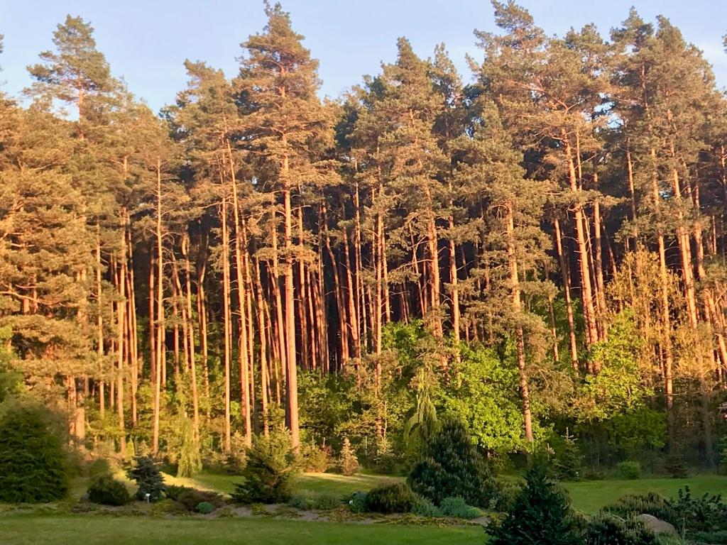 Príroda v okolí apartmánu