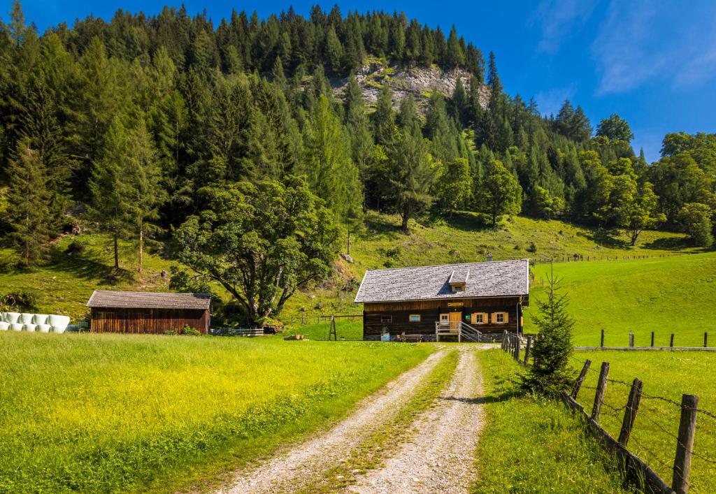 Príroda v okolí dovolenkového domu