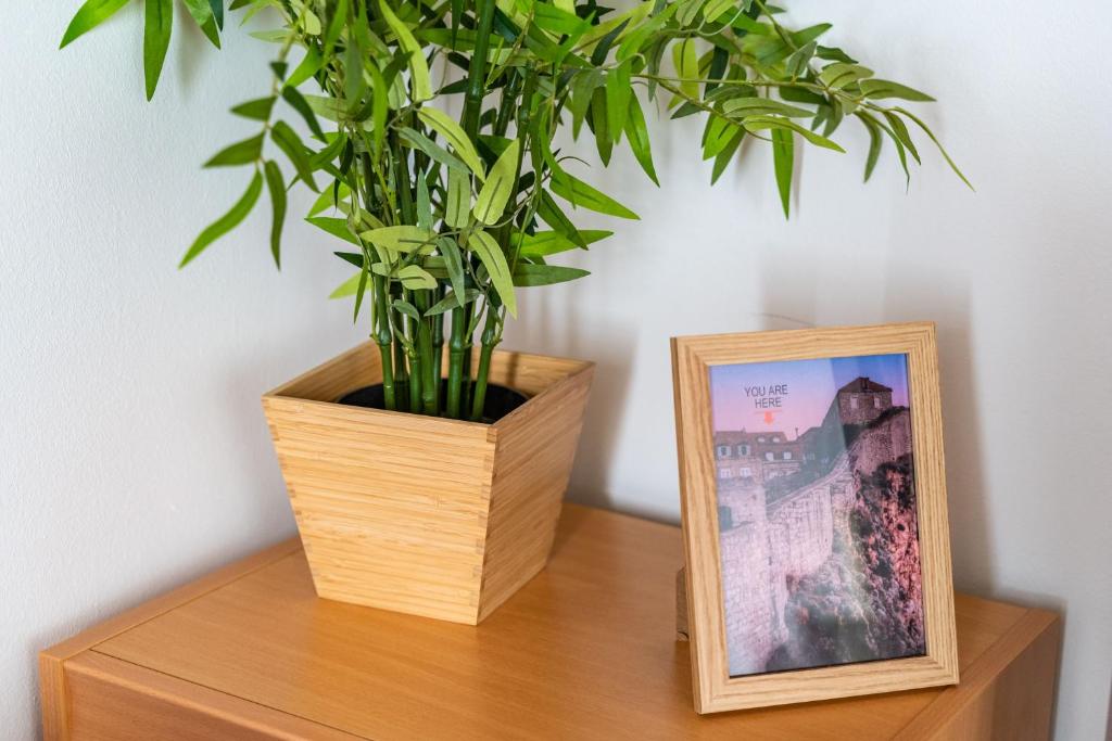 Fotografia z galérie ubytovania Apartment Ribambit v Dubrovníku