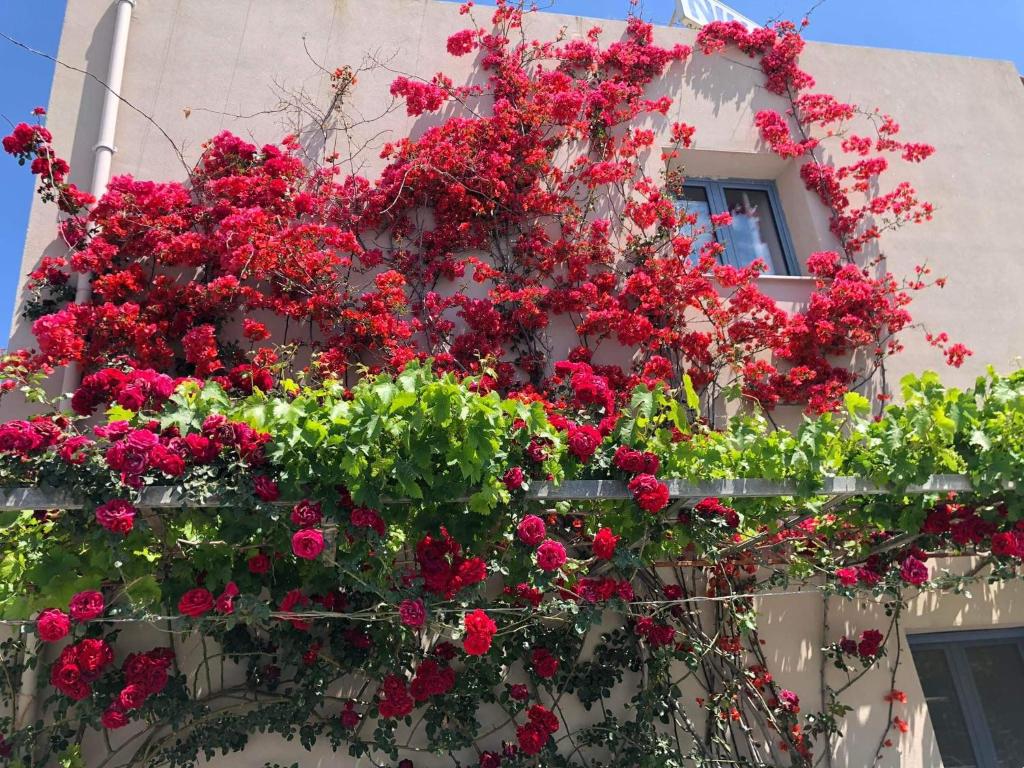 a bunch of red flowers on the side of a building at Nikolas Apartments in Amoudara Herakliou