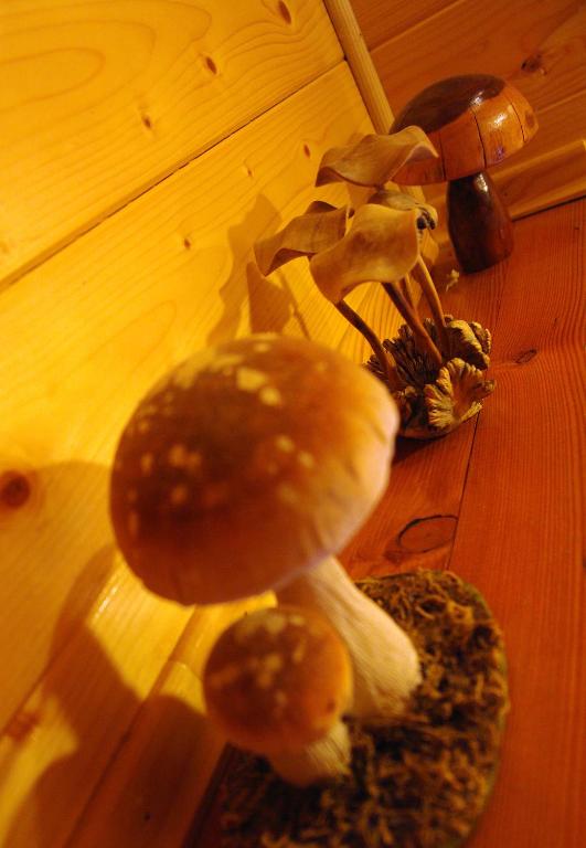 Fotografie z fotogalerie ubytování Chalet House Olga v destinaci Crni Lug