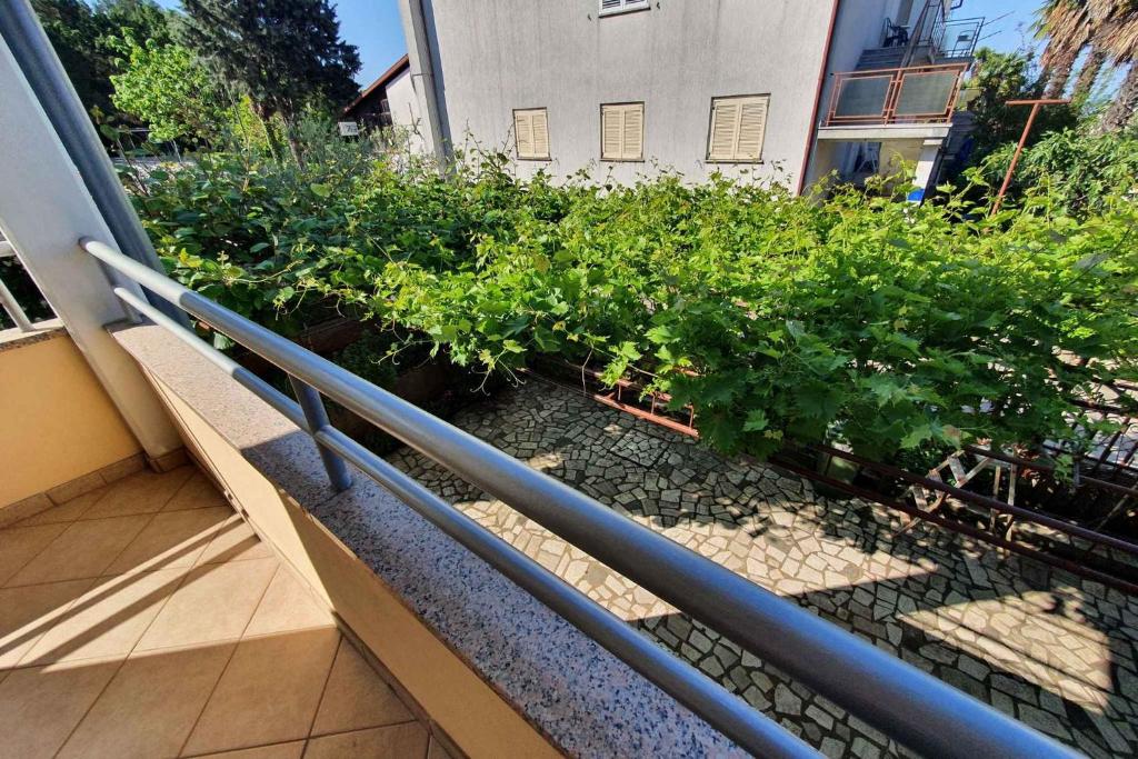 Zahrada ubytování Apartments in Porec/Istrien 40404
