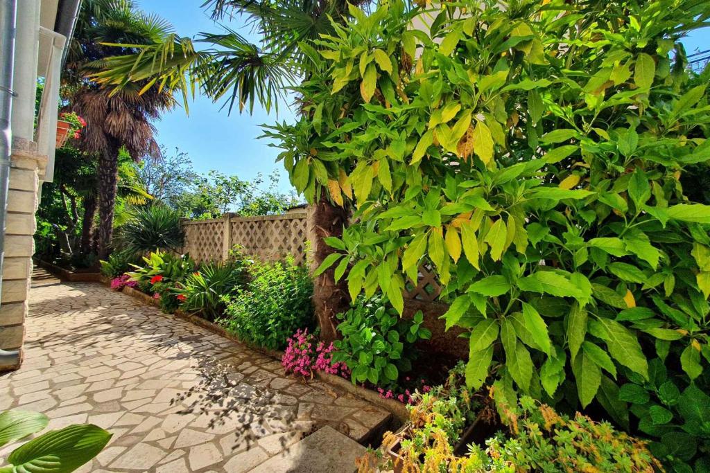 Zahrada ubytování Apartments in Porec/Istrien 40404