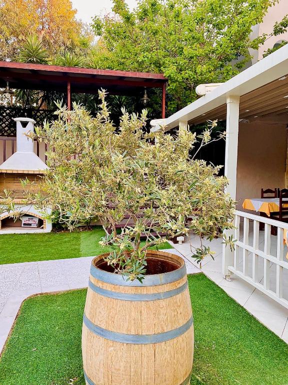 a large wooden barrel with a tree in it at Karteros Hotel in Karteros