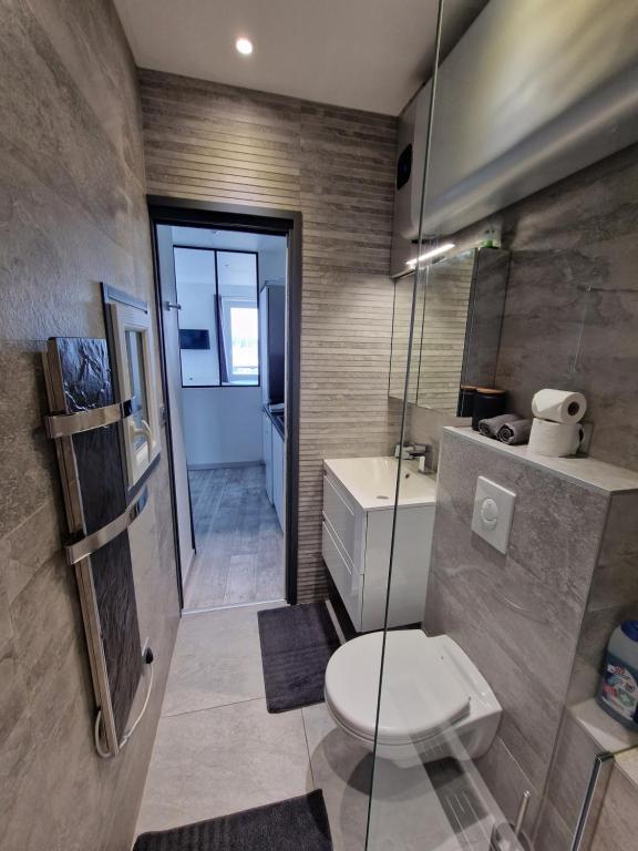 Kylpyhuone majoituspaikassa Sanaritz