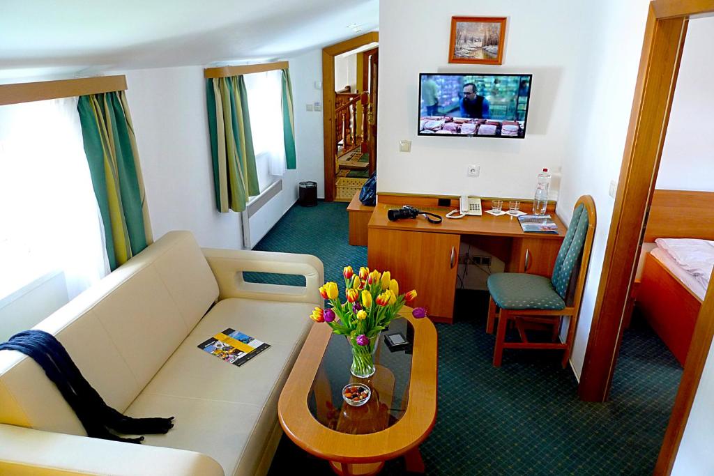 TV a/nebo společenská místnost v ubytování Hotel Spindlerova Bouda