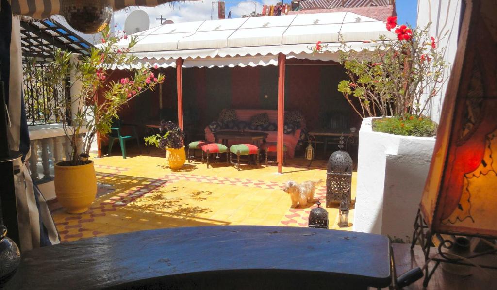 Patio nebo venkovní prostory v ubytování Maison d'hôtes Cité Portugaise