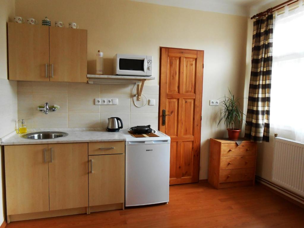 a small kitchen with a sink and a refrigerator at Apartmány Johanka in Náchod